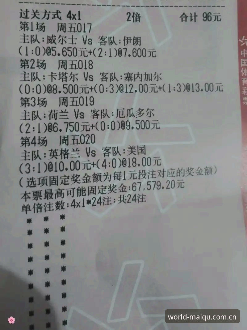 如何选择靠谱的世界杯竞猜软件手机版？专业分析师告诉你答案