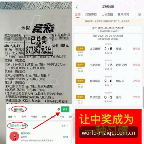资深用户分享：梅里诺伤愈背后的竞彩思维与实战经验